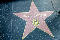 David's star on Walk of Fame