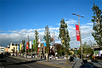Banners: Tribes of Galway