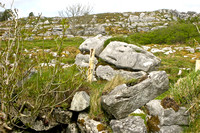 Along the Burren