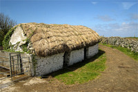 Original thatched-roof house