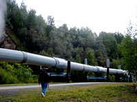 Alaskan Pipe Line