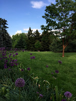 Botanical Gardens, purple & green