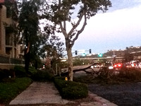 Camino De La Reina blocked to westbound traffic