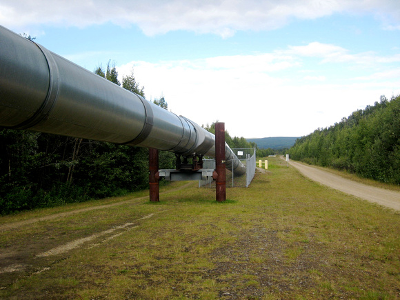Alaskan Pipe Line heading underground